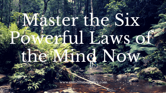 mindforce | Laws of Attraction